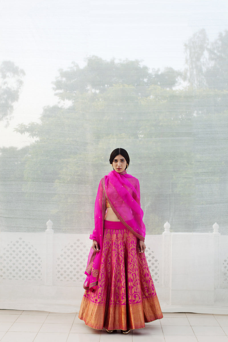 RAW MANGO FESTIVE | 2014