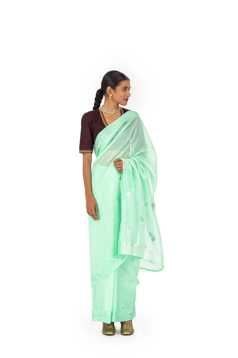 NESARA PALLU