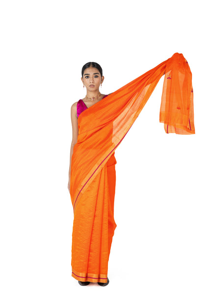 NESARA PALLU