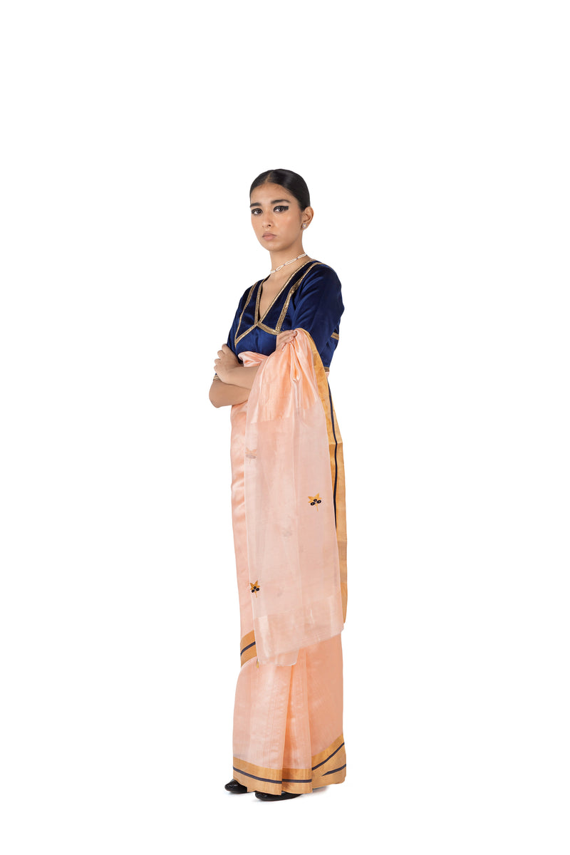 NESARA PALLU