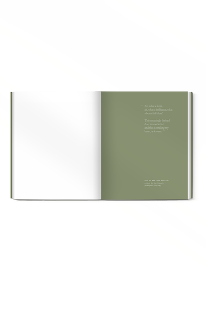 SHER BAGH: Limited Edition Lookbook